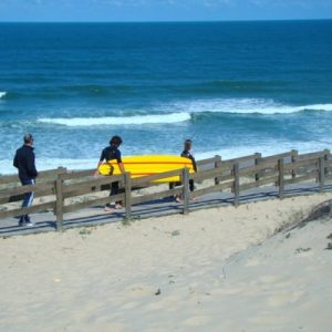 a-deux-cest-plus-facile-de-sentraider-pour-rejoindre-le-spot-de-surf-et-descendre-la-dune