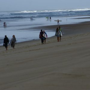 attention-surfeurs-on-the-beach