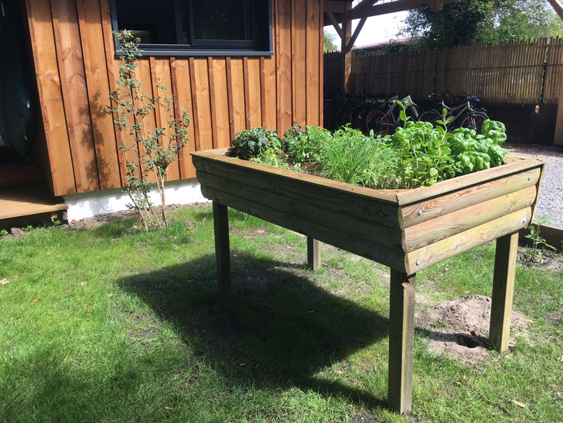 potager-bio-nature-surf-camp