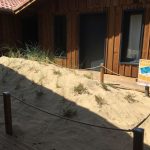reconstitution-dune-nature-surf-camp