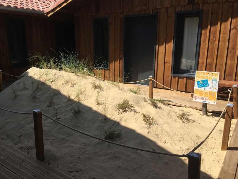 Du nouveau au surf camp :) La dune et le Potager